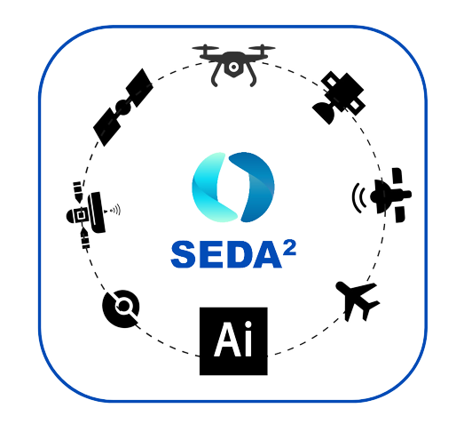 Seda