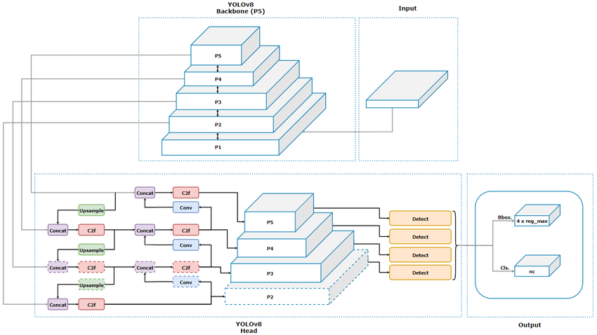 Ejemplo de arquitectura de Yolov8