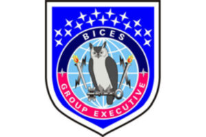 Bices Logo